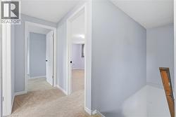 Carpeted hallway featuring light blue walls, white trim, and white interior doors with black hardware - 