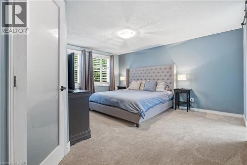 Carpeted room featuring light blue walls and two windows with white plantation shutters - 19 Alona Avenue, Cambridge, ON - Indoor Photo Showing Bedroom