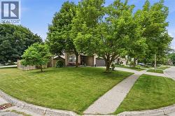 Expansive corner lot featuring mature trees, a manicured lawn, and a concrete sidewalk - 