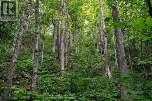 9420 Ewing Road, Clearview, ON 