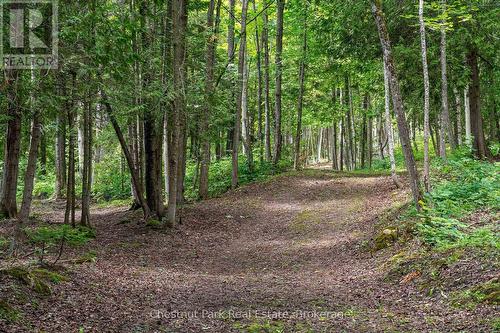 9420 Ewing Road, Clearview, ON 
