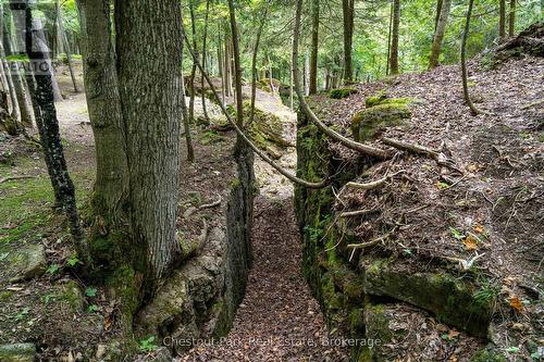 9420 Ewing Road, Clearview, ON 