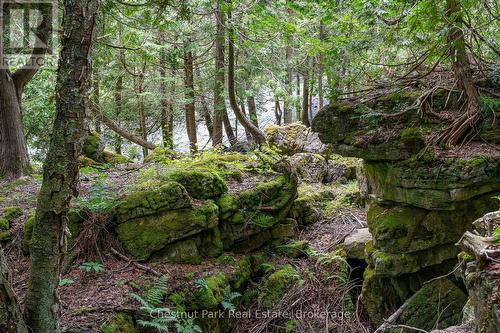 9420 Ewing Road, Clearview, ON 