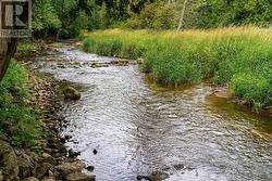 Mad River in ravine - 