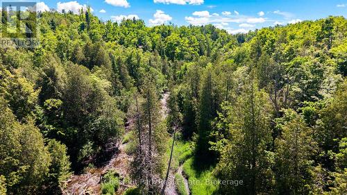 9420 Ewing Road, Clearview, ON 