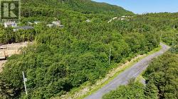Lot 00 Beach Path Road  Deep Bight, NL A0E 2B0