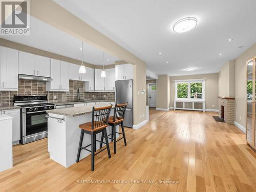 246 Ellis Avenue, Toronto, ON - Indoor Photo Showing Kitchen With Upgraded Kitchen