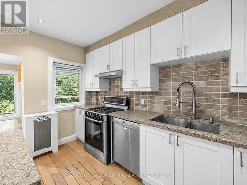 246 Ellis Avenue, Toronto, ON - Indoor Photo Showing Kitchen With Stainless Steel Kitchen With Upgraded Kitchen
