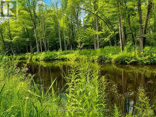 1830 Rollin Road, Clarence-Rockland, ON - Outdoor