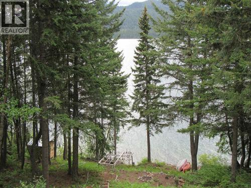 4336 Birch Lake Dump Road, Bridge Lake, BC 