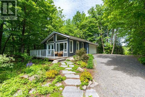 Guest Cabin - only 40 feet from main cottage - 140 Rachels Lane, Huntsville, ON - Outdoor