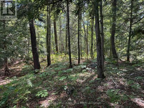 2 Island 24Lm (Denison), Gravenhurst (Muskoka (S)), ON 