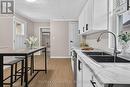 55 George Street, Belleville (Belleville Ward), ON  - Indoor Photo Showing Kitchen With Double Sink 