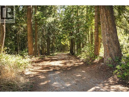 6350 Lakeshore Drive Ne, Salmon Arm, BC - Outdoor With View