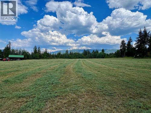 6350 Lakeshore Drive Ne, Salmon Arm, BC - Outdoor With View