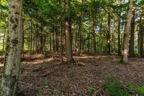Terre/Terrain - Rue Des Berges, Sainte-Catherine-De-Hatley, QC 