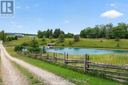 Pond at front of property - 