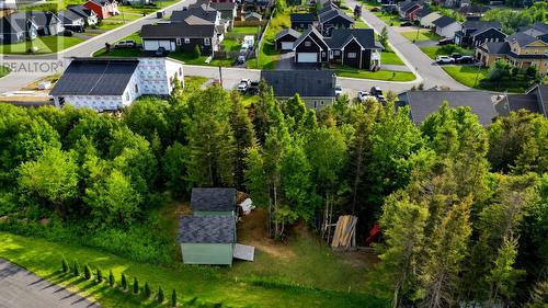 39 Wagg Place, Pasadena, NL - Outdoor