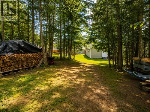 39 Wagg Place, Pasadena, NL - Outdoor