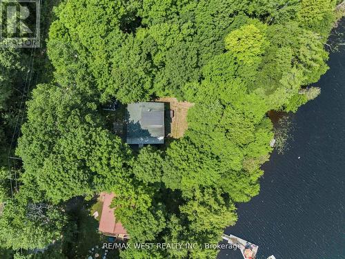1091 Mcarthur Point Road, Lake Of Bays, ON - Outdoor With Body Of Water