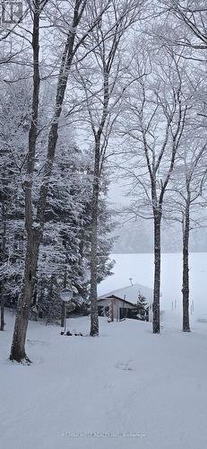 1091 Mcarthur Point Road, Lake Of Bays, ON - Outdoor With Body Of Water With View