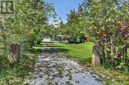 98 Lakeview Cottage Road, Kawartha Lakes (Bexley), ON - Outdoor