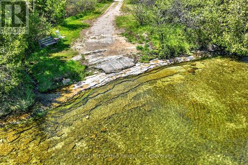 98 Lakeview Cottage Road, Kawartha Lakes (Bexley), ON - Outdoor