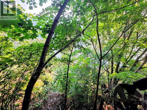 283 2Nd Avenue, Trail, BC - Outdoor