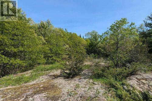 446 South Bay Road, Georgian Bay (Baxter), ON - Outdoor With View