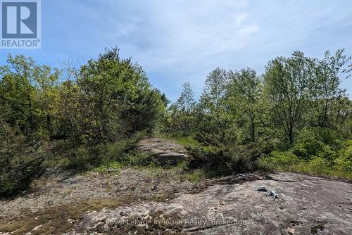 446 South Bay Road, Georgian Bay (Baxter), ON - Outdoor With View