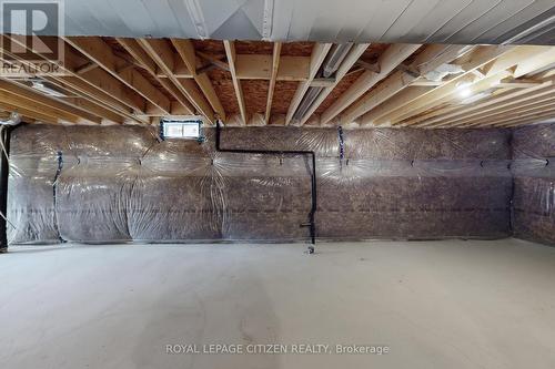 123 Cliff Thompson Crescent, Georgina, ON - Indoor Photo Showing Basement