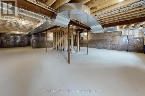 123 Cliff Thompson Crescent, Georgina, ON - Indoor Photo Showing Basement