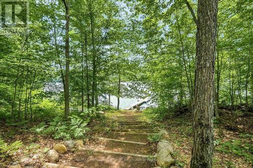1075 Nanook Lane, Highlands East (Monmouth), ON - Outdoor