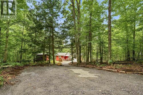 1075 Nanook Lane, Highlands East (Monmouth), ON - Outdoor