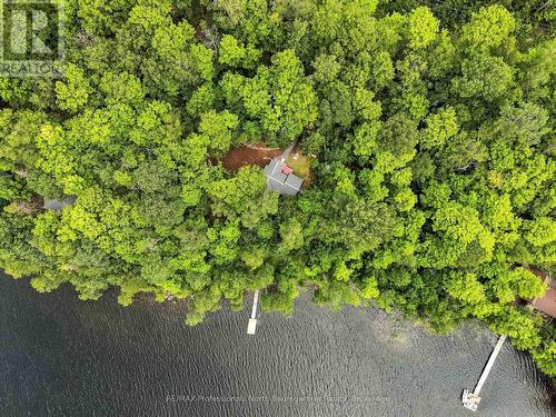 1075 Nanook Lane, Highlands East (Monmouth), ON - Outdoor