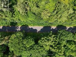 1098 OLD HWY 117 Lake Of Bays (Ridout), ON P0B 1A0