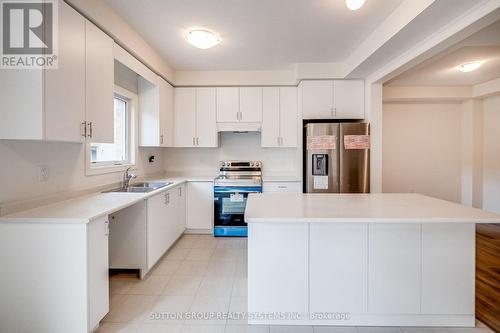 59 Hager Crek Terrace, Hamilton, ON - Indoor Photo Showing Kitchen With Stainless Steel Kitchen With Double Sink