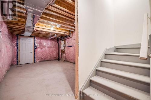 59 Hager Crek Terrace, Hamilton, ON - Indoor Photo Showing Basement