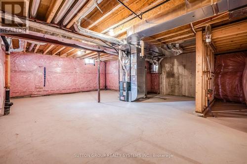 59 Hager Crek Terrace, Hamilton, ON - Indoor Photo Showing Basement