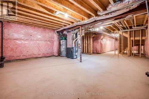 59 Hager Crek Terrace, Hamilton, ON - Indoor Photo Showing Basement