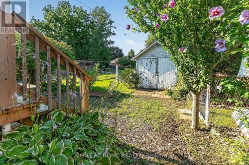 72 Maple Street, St. Thomas, ON - Outdoor