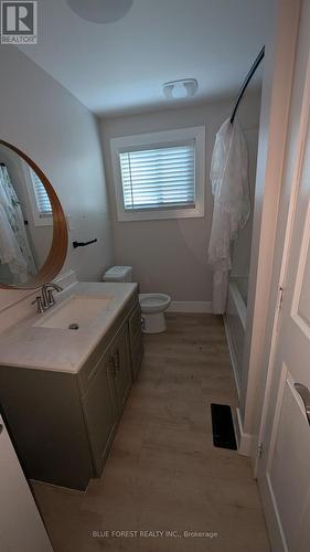 30 Catherine Street, Ingersoll (Ingersoll - North), ON - Indoor Photo Showing Bathroom