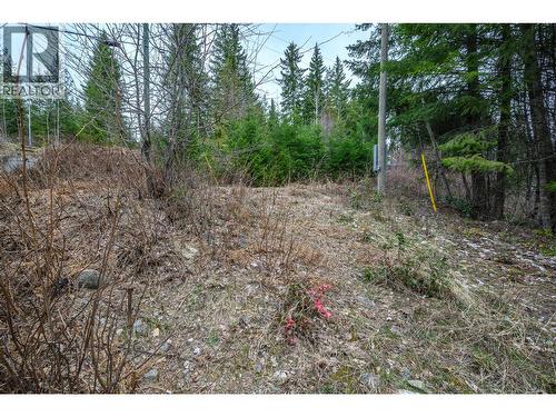 One Full Hook up for RV PLUS... additional land for parking - 6474 Deer Run Road Lot# 11, Magna Bay, BC 