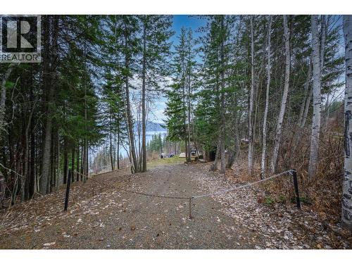 Drive way and access from Deer Run Lake Road - 6474 Deer Run Road Lot# 11, Magna Bay, BC 