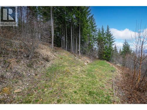 One Full Hook up for RV PLUS... additional land for parking - 6474 Deer Run Road Lot# 11, Magna Bay, BC 