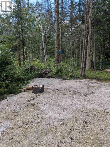 6 Henwood Street, Northern Bruce Peninsula, ON 