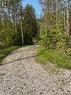 6 Henwood Street, Northern Bruce Peninsula, ON 