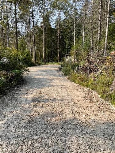 6 Henwood Street, Northern Bruce Peninsula, ON 