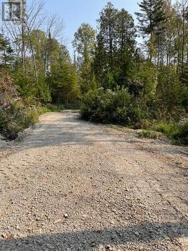 6 Henwood Street, Northern Bruce Peninsula, ON 