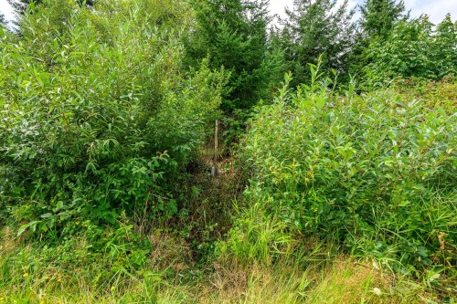 Lot 6 Eagles Rd, Courtenay, BC 